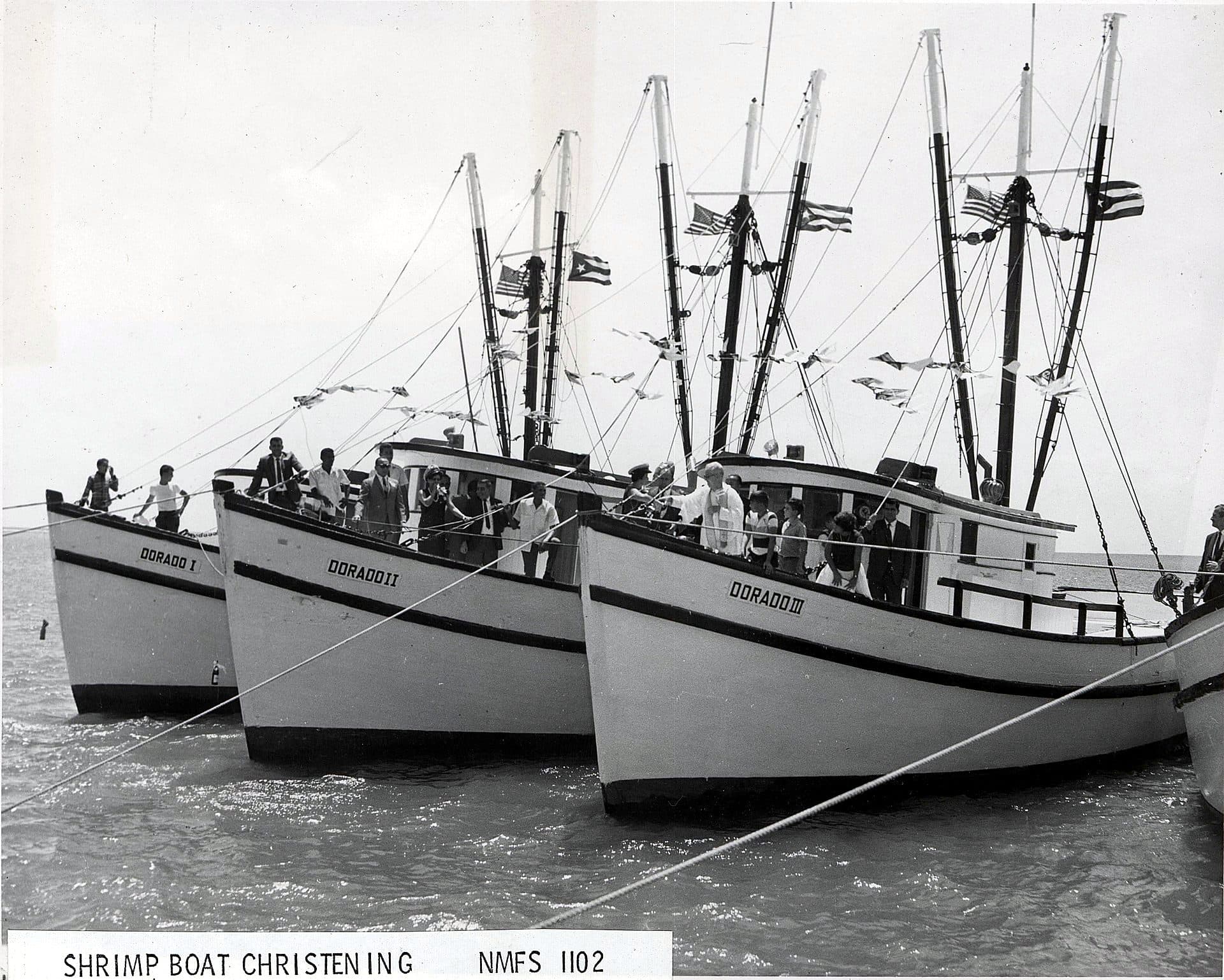 Shrimp boats of the Dorado Fishing Cooperative moored in Puerto Rico